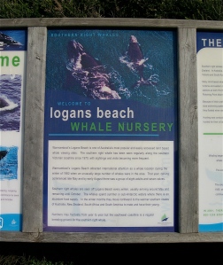 Whale sign Logan's beach July 2010